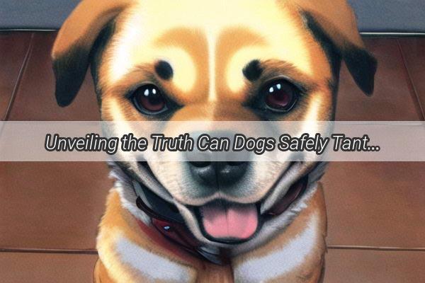 Unveiling the Truth Can Dogs Safely Tantalize Their Taste Buds with Raw Zucchini